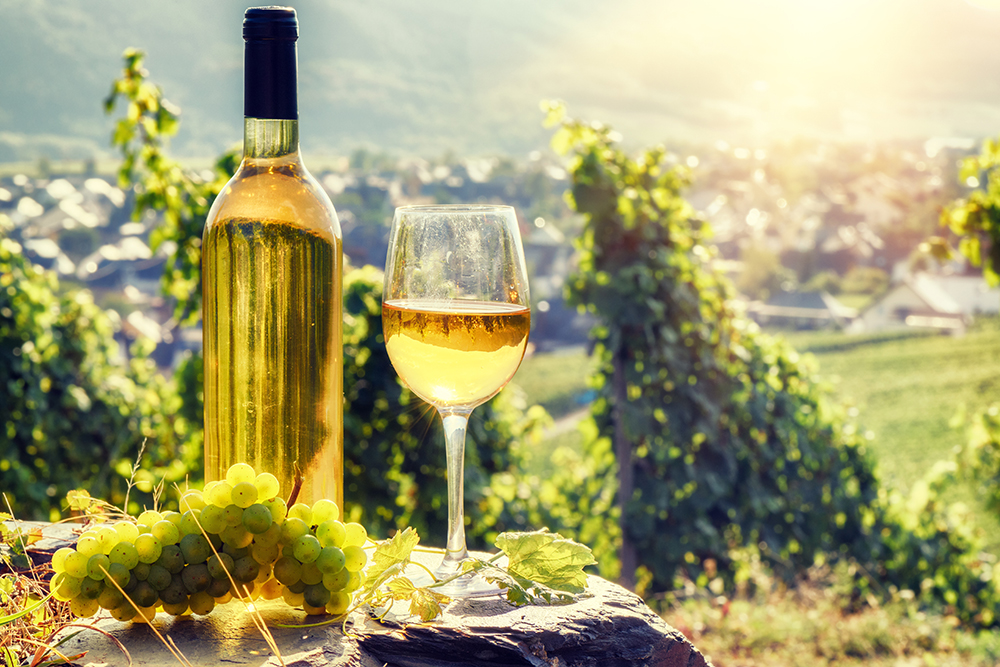 初めてでも分かるドイツワインの特徴と種類 | MELLOW[メロウ]｜ワイン生活向上マガジン